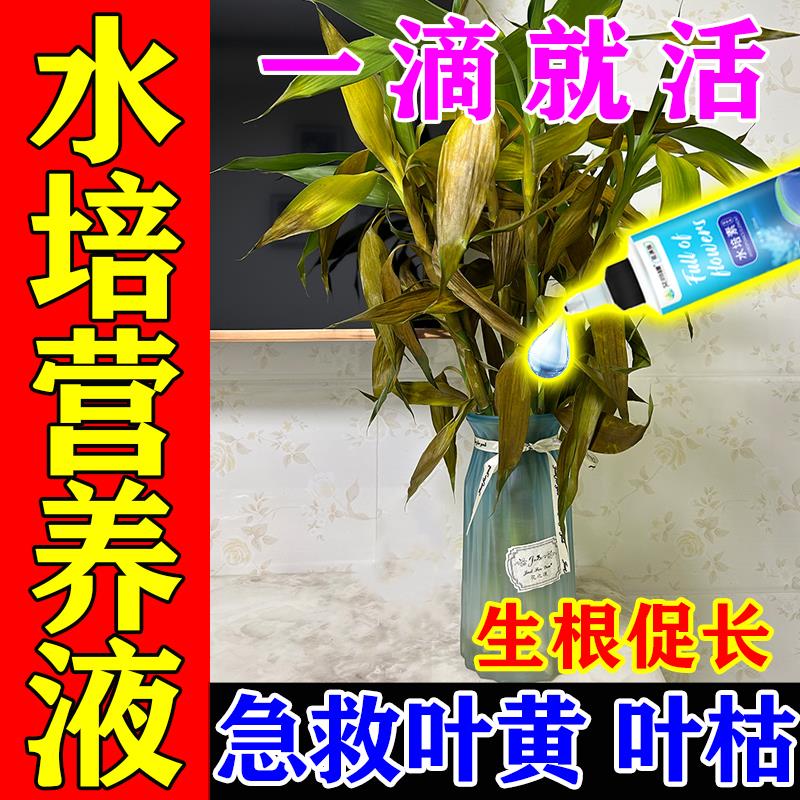 水培植物通用营养液免稀释碗莲富贵竹绿萝水培花卉绿植养花肥料