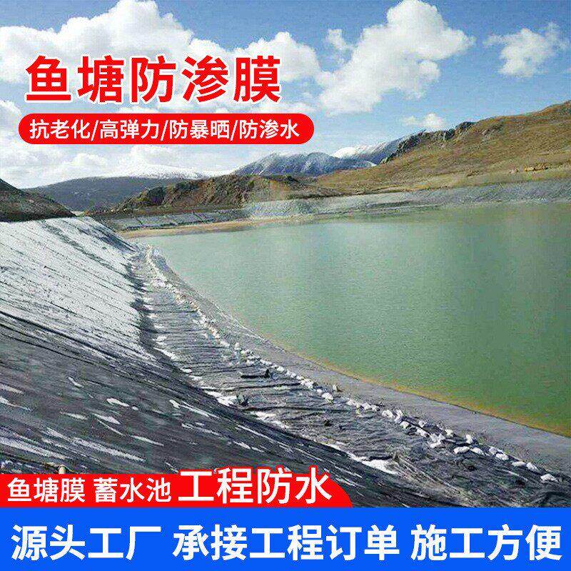土工膜鱼塘防渗膜藕塘沼气池黑膜