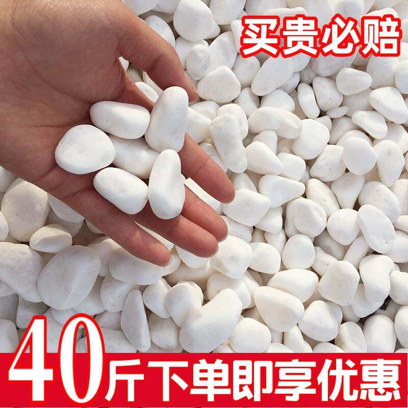 白石子庭院景观铺路鹅卵石鱼缸多肉盆栽铺面园林装饰白色大小石头