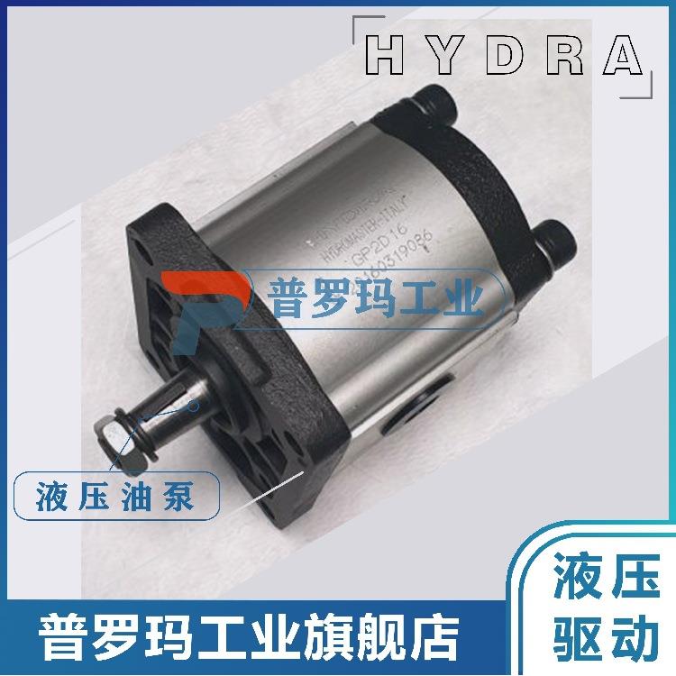 HYDROMASTER-ITALY齿轮泵GP2D16油泵高压泵小型泵