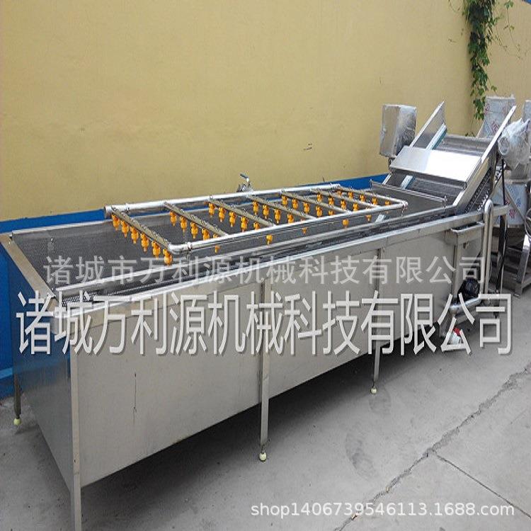 净菜加工线果蔬清洗机叶类蔬菜清洗设备高压喷淋芹菜韭菜清洗机