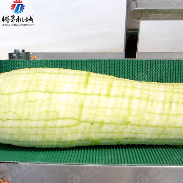 腾昇大型卧式冬瓜去皮机 冬瓜削皮厚度可调 冬瓜削皮剥皮设备