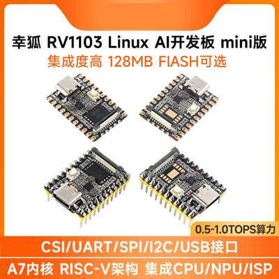 幸狐RV1103 Luckfox Pico Mini微型Linux AI开发板128MB容量