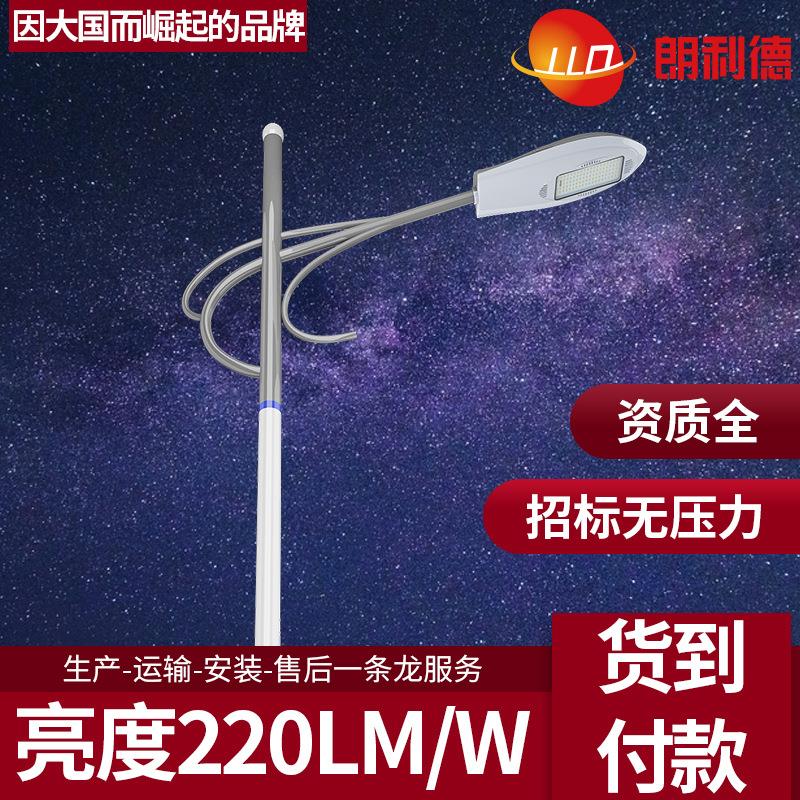 LED路灯60W00W50W200W户外道路照明高杆厂家6米8米0米2米4m