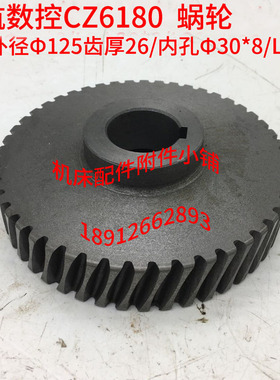 江苏镇江齐航数控机床CZ6180车床铁蜗轮Z48/30*8/L38