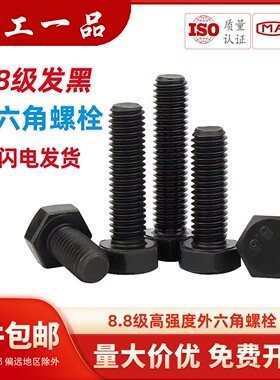 8.8级高强度外六角螺丝螺栓加长螺丝钉M3M4M5M6M8M10M12M16M20M