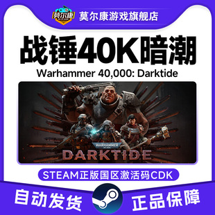 暗潮战锤40K PC正版 战锤暗潮 CDKey 国区激活码 Steam战锤40K暗潮