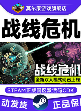 steam游戏 战线危机 Frontline Crisis 国区激活码CDKey PC正版