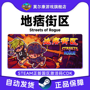 steam 地痞街区 国区激活码CDKey Streets of Rogue PC正版游戏