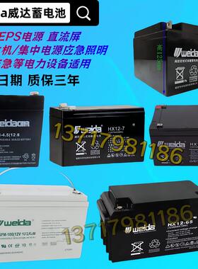 Weida威达蓄电池6-GFM/HX12-65 12V100AH 17 24 38 40 65铅酸电瓶