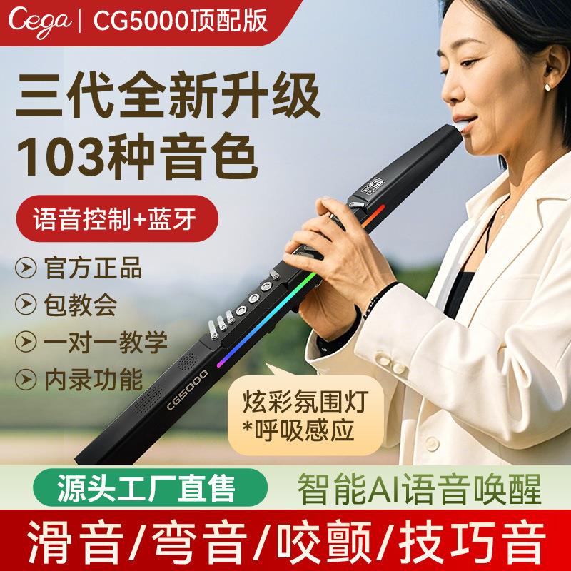 前谷cega电吹管专业演奏级乐器大全中老年笛子初学入门电子萨克斯