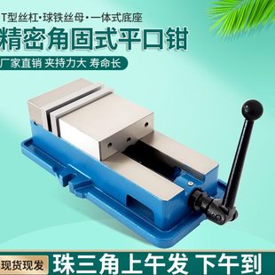 平口钳精密台钳机用虎钳CNC重型铣床平口钳专用6 斯杰威角固式 8寸