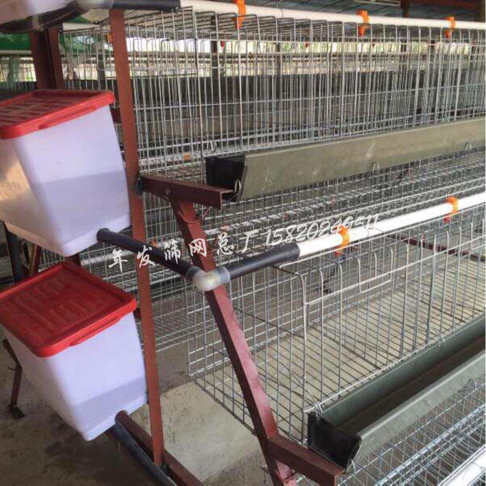 广州工厂生产养殖阶梯式三层蛋鸡笼全自动饮水系统铁网笼具