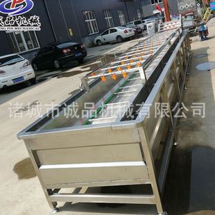 山野菜清洗加工氣泡清洗機薺菜山菜清洗去泥設(shè)備梅干菜清洗機