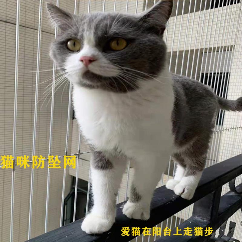 猫咪防掉落封阳台防护网316不锈钢丝网防狗跳窗护栏网武汉包安装