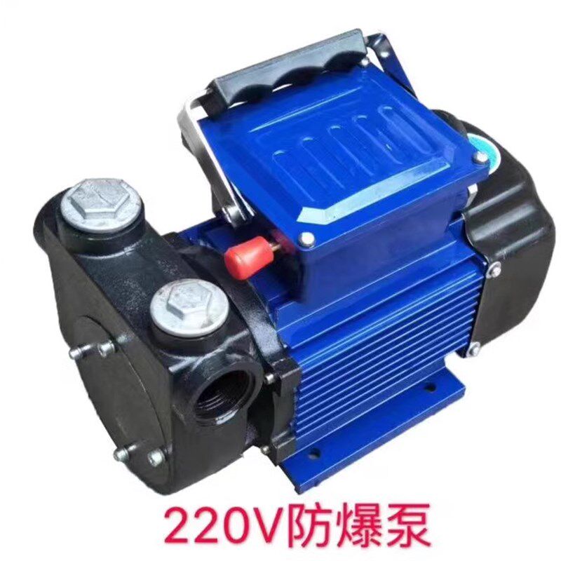 防爆抽油泵倒油泵12V24V防爆泵220V汽油泵一寸防爆汽油抽油泵
