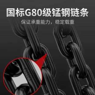 220V起重电葫芦家用工业吊机提升机1吨2吨5吨 环链电动葫芦380