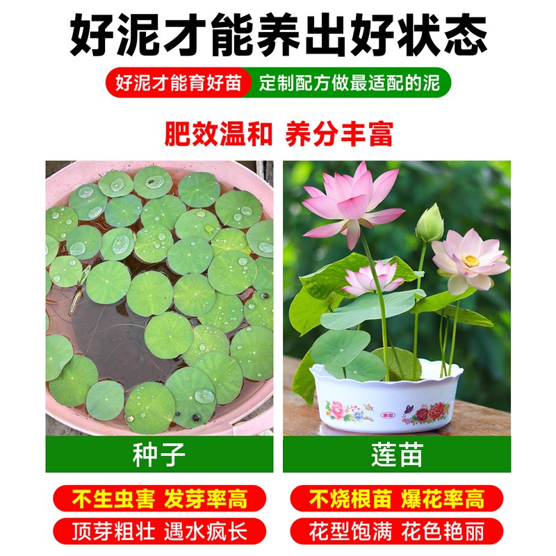 碗莲专用荷塘泥睡莲铜钱草水生植物天然营养土荷花泥生态泥养龟缸