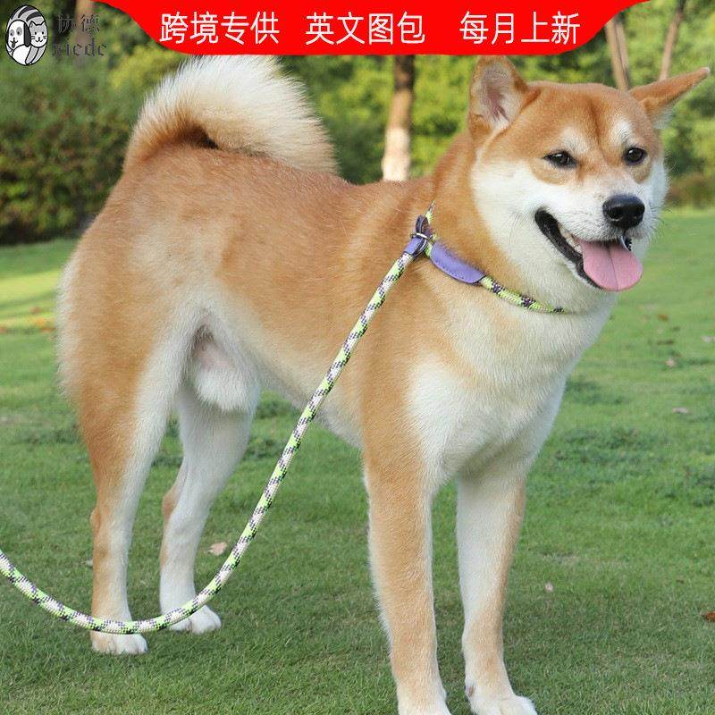中大型犬尼龙项圈防爆冲狗链训犬牵引绳保险扣四季遛狗防丢牵引带