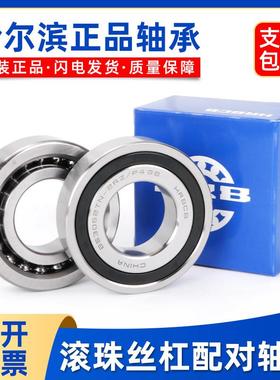 哈尔滨丝杆轴承 BS1747-2047-2562-3062-3572-4072-4090-50100/P4