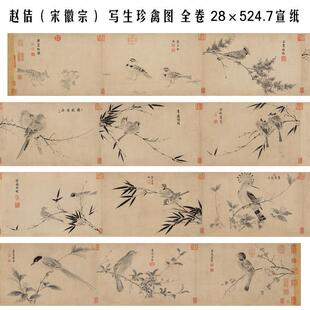 赵佶(宋徽宗) 写生珍禽图 全卷 28×524.7 国画画心装饰画 高清
