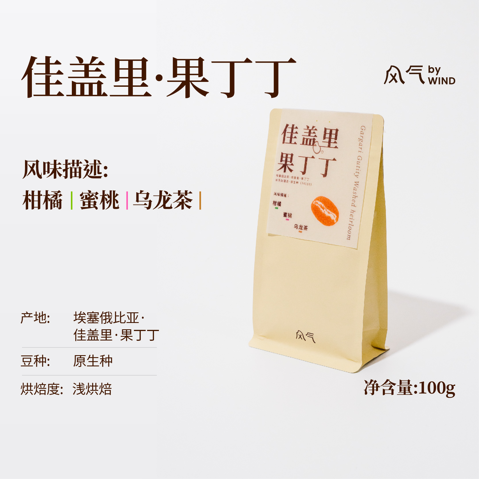 风气咖啡手冲单品埃塞水洗果丁丁