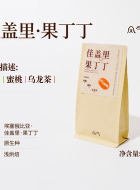 风气咖啡 浅烘手冲 埃塞俄比亚佳盖里果丁丁水洗单产地咖啡豆100g