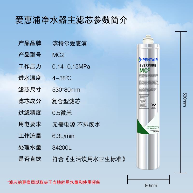 爱惠器mc2浦净水主滤芯家用直饮机MC2滤芯水吧咖店啡用V96125E6美