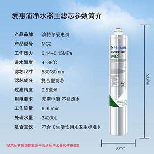 爱惠器mc2浦净水主滤芯家用直饮机MC2滤芯水吧咖店啡用V96125E6美