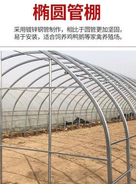椭圆管养殖大VLE全棚套大钢管骨架种植棚养鸡牛易棚简猪圈棚拱棚