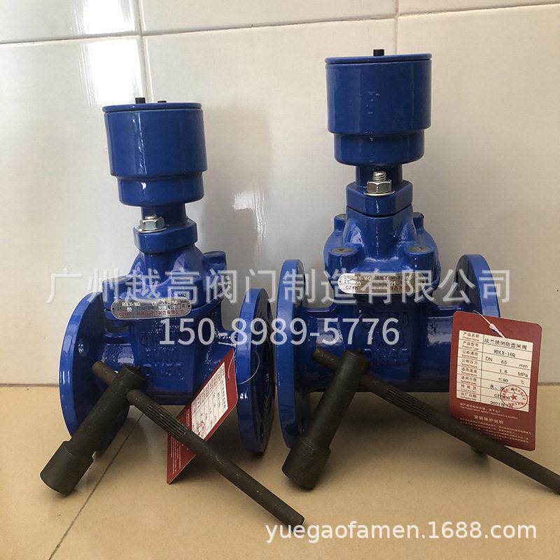 广州越海法兰锁闭式防盗闸阀 RDLX-16Q带钥匙QT450软密封球墨铸铁