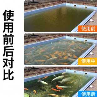 鱼池水循环过滤系统大型锦鲤池净水过滤器庭院室外水池外置过滤箱