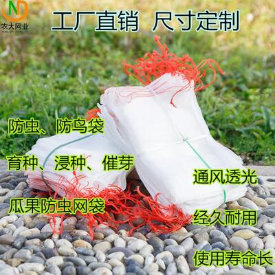 尼龙防虫水稻育种网袋火龙果葡萄瓜果番茄蔬菜套袋 浸种催芽纱袋