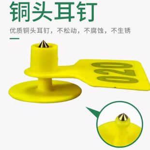 加大牛耳标大号牛耳标牌带字铜头公钉奶牛耳标牌加大牛耳标牌大号