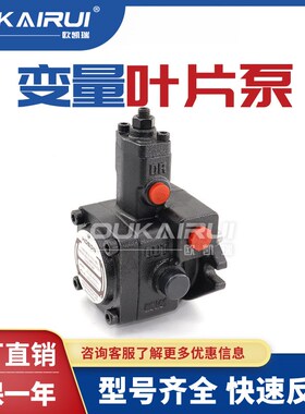 台湾泓圣液压油泵变量叶片泵VP20 VP30 VP40双联泵VPDF低压泵VPSF