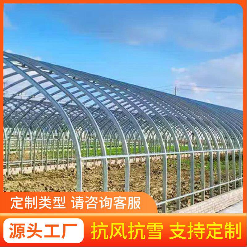 种植温室大棚蔬菜暖棚钢管骨架全套养殖保温猪牛鸡鸭舍简易连栋棚