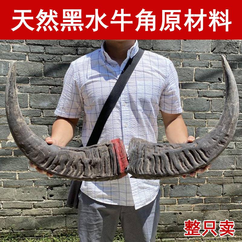 黑水牛角原料原生态未打磨加工原材料牛角梳雕刻印章摆件手把件号