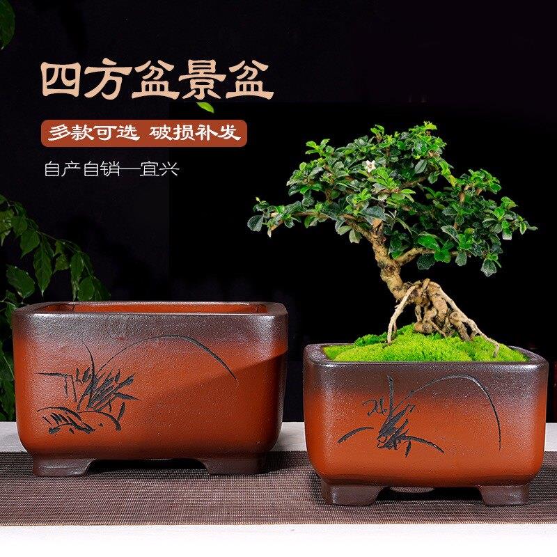 紫砂花盆陶瓷盆仿古四方形室内梅花榕树老桩金弹子君子兰花盆景盆