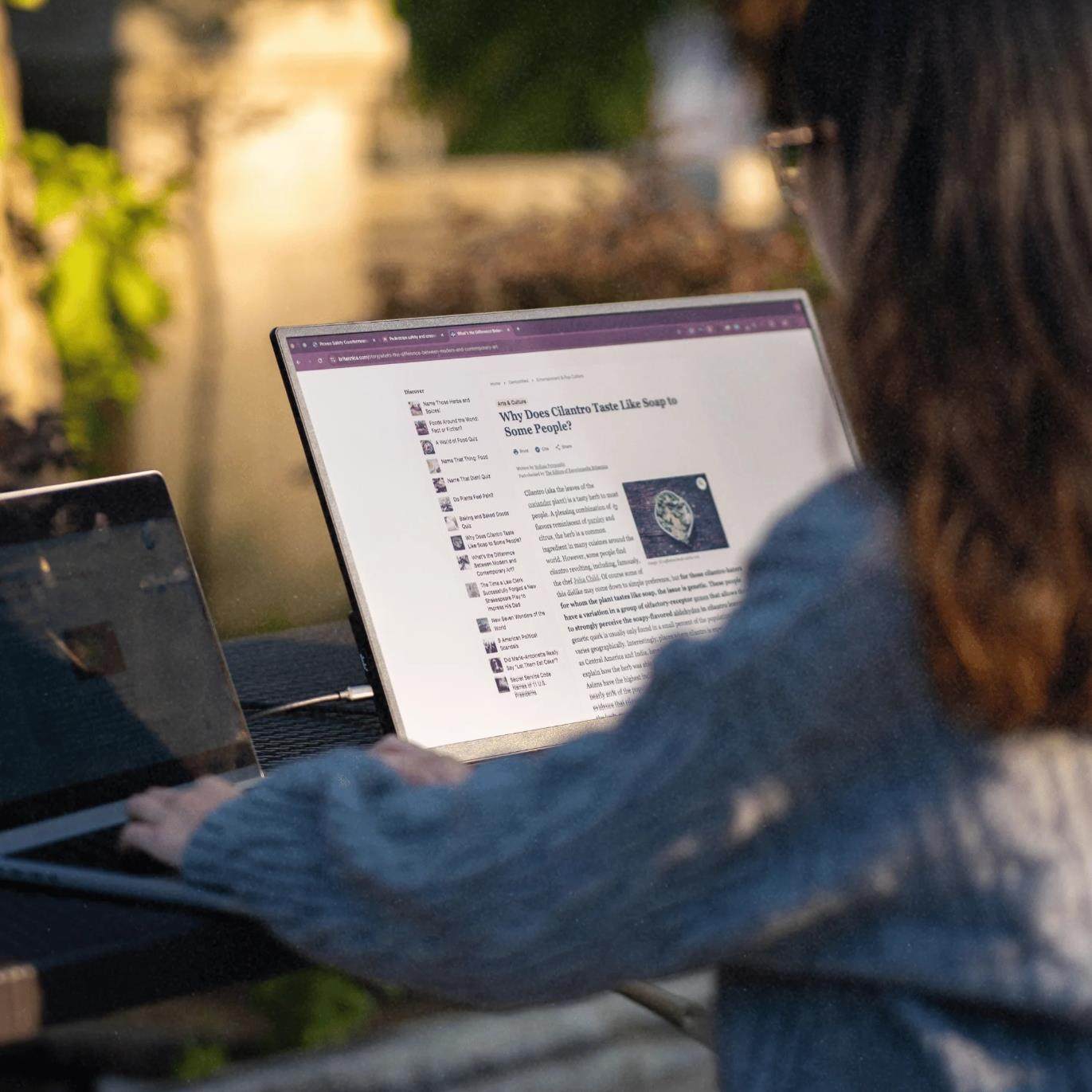 美国Eazeye Monitor 2.0 23.8寸Rlcd全反射屏显示器 无蓝光类纸屏