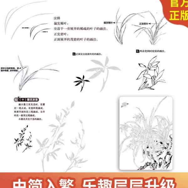 中国画白描入门花鸟山水人物梅兰菊竹工笔底稿白描画稿临摹画描本