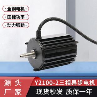 交流电机耐高温电机Y2100-2220v非标全铜线电机三相异步电动机批
