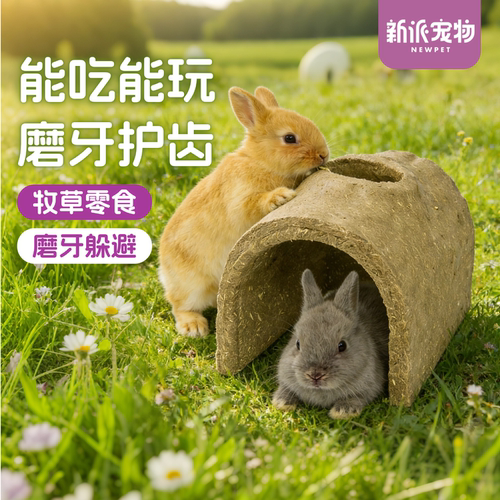 新派宠物兔子豚鼠龙猫磨牙零食