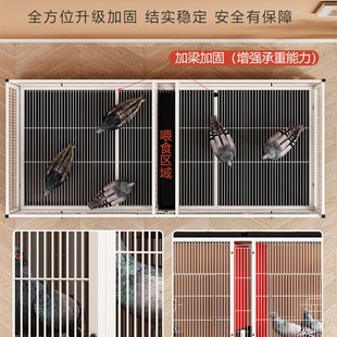 寶配對籠三層大號加密帶食盒水盒室內外養殖籠防老鼠 鴿子籠信鴿元