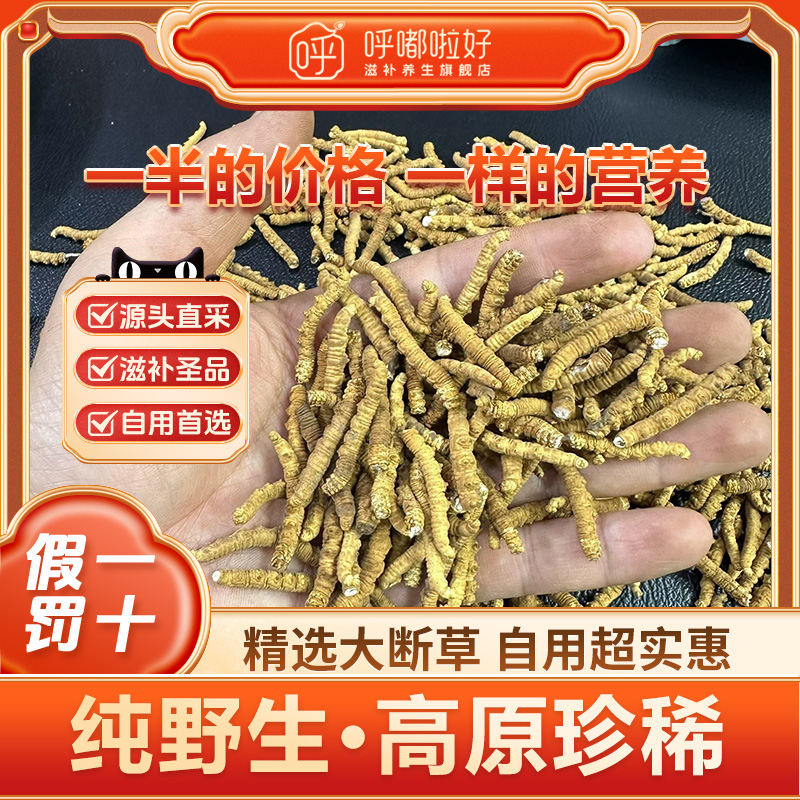 野生断草那曲高海拔冬虫夏草旗舰店正品大断草头期干货自用佳品