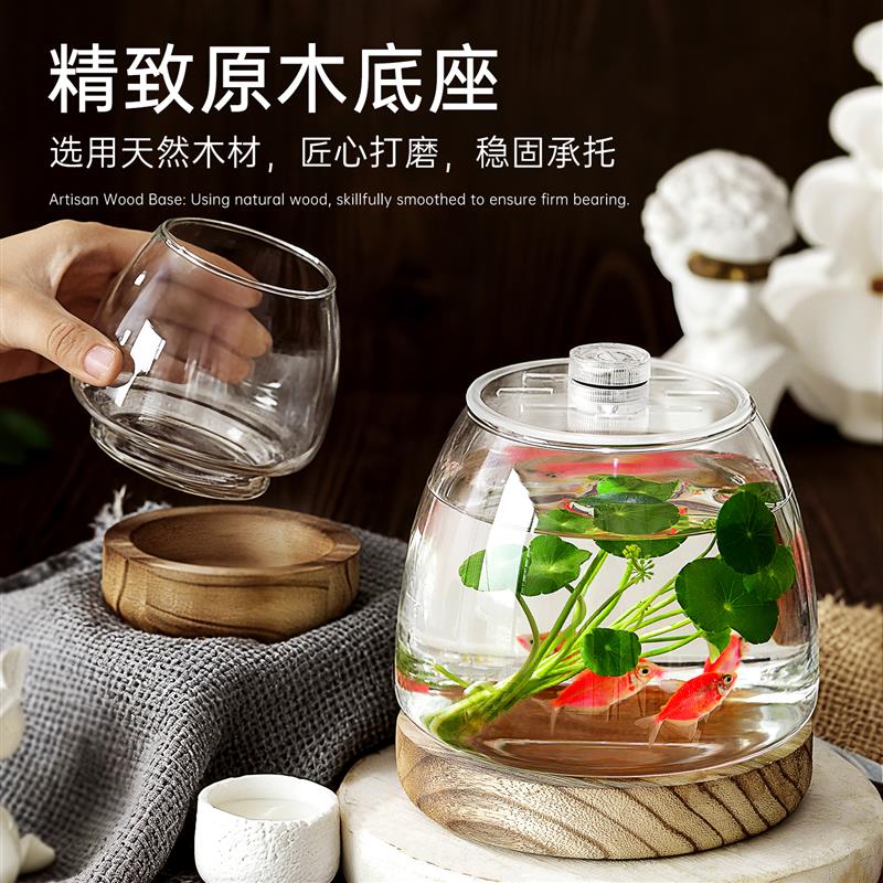 生态玻璃鱼缸新款客厅小型桌面造景缸发光木托花瓶礼盒工位斗鱼缸