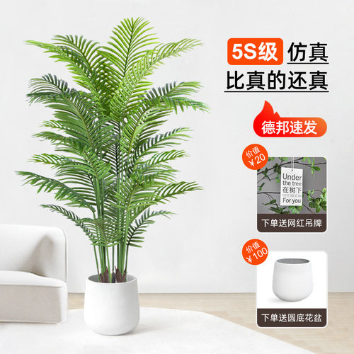 仿真绿植高端轻奢植物造景室内盆栽装饰仿真花摆件仿生散尾葵假树