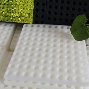 无土栽培 鱼塘水上种菜带孔种植漂浮珍珠棉泡沫板水培蔬菜定植板