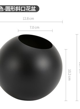 电镀不锈钢大花瓶水培器皿摆件客厅插花瓶餐桌干花黑色花盆高级感