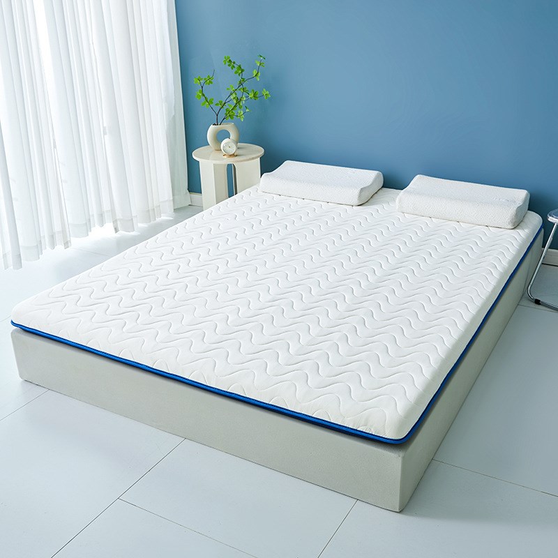 抗压床垫可回弹不塌陷硬质棉软垫家用榻榻米学生宿舍租房垫子