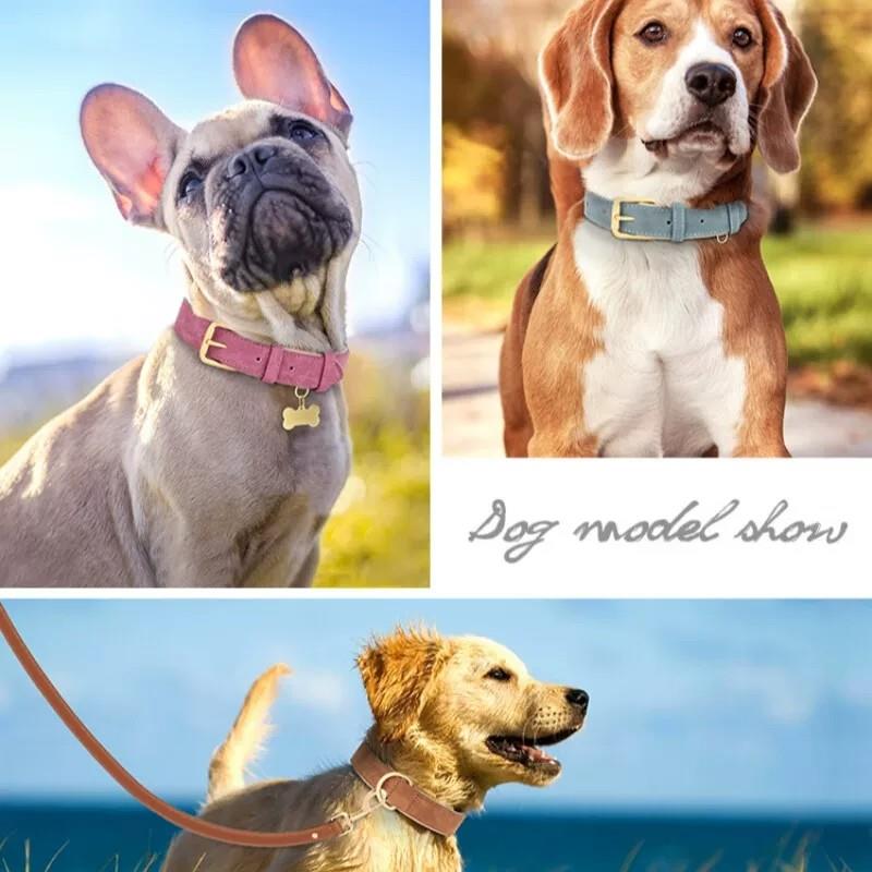 狗项圈中型犬刻字狗牌狗脖圈法斗柯基双层皮质狗圈小型犬防勒颈圈